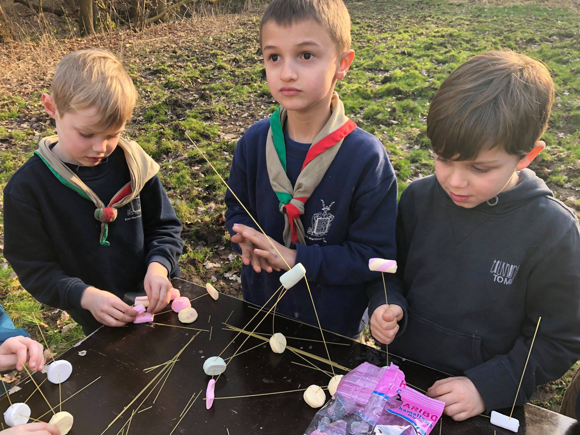 Sint-Martinus den XIIde - Wetenschapsspel Kapoenen Kiewit